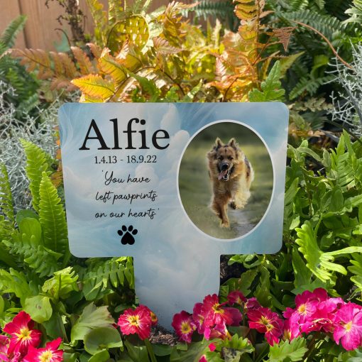 Clouds in heaven background with silhouette of paw print and the text you have left paw prints on our hearts and your chosen image inside an oval dog memorial stake inserted in flower bed surrounded by colourful flowers in the garden