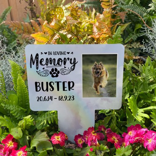 Rainbow in heaven background with silhouette of paw print and angel wings dog memorial stake inserted in flower bed surrounded by colourful flowers in the garden