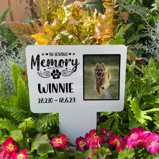 White background with silhouette of paw print and angel wings dog memorial stake inserted in flower bed surrounded by colourful flowers in the garden